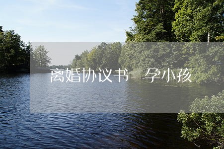 离婚协议书 孕小孩